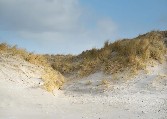 Alte Schule Kating Appartamento Westerhever